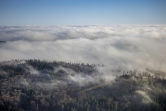 Aerial view, sea of clouds over forest area, Bödefeld, Schmallenberg, Sauerland, North