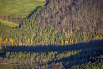 Aerial view, forest area forest dieback, Westernbödefeld, Schmallenberg, Sauerland, North