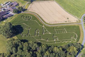 Aerial photo of Baür Lünemann's corn maze in Selm Cappenberg. This year's theme is Europe. Selm,