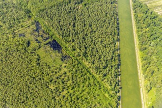 Aerial view, Venner Moor nature reserve, Dortmund-Ems canal, forest damage, Senden, Münsterland,