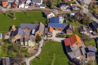 Aerial photo, agricultural business farm, Ampen, Soest, Soester Börde, North Rhine-Westphalia,