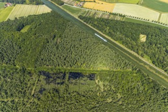 Aerial photograph, forest damage, Venner Moor nature reserve, ship on the Dortmund-Ems Canal,