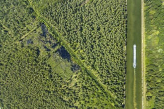 Aerial photograph, forest damage, Venner Moor nature reserve, ship on the Dortmund-Ems Canal,