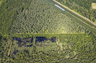Aerial photograph, forest damage, Venner Moor nature reserve, ship on the Dortmund-Ems Canal,