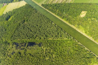 Aerial view, Venner Moor nature reserve, Dortmund-Ems canal, forest damage, Senden, Münsterland,