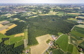 Aerial view, Venner Moor nature reserve, Dortmund-Ems canal, local view, Senden, Münsterland, North