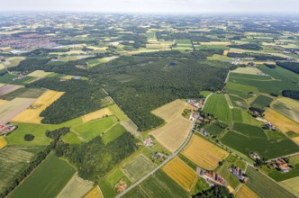 Aerial view, Venner Moor nature reserve, Dortmund-Ems canal, local view, Senden, Münsterland, North