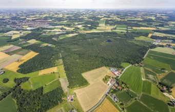 Aerial view, Venner Moor nature reserve, Dortmund-Ems canal, local view, Senden, Münsterland, North