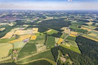 Aerial view, Venner Moor nature reserve, Dortmund-Ems canal, local view, Senden, Münsterland, North
