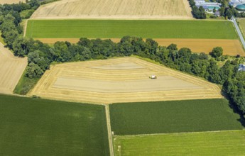 Aerial photo, harvest, combine harvester, hedgerows, grain harvest, paradises, Soest, Soester