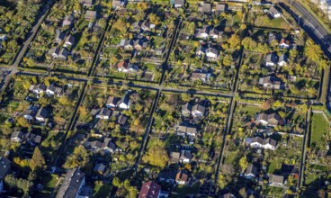 Aerial view, KGV Harmonie e.V., Herwarthstraße, Styrum, Mülheim an der Ruhr, Ruhr area, North