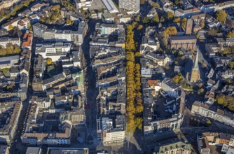 Aerial view, Dickswall, catholic church St. Mariae-Geburt, protestant church Petrikirche, Altstadt