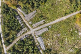 Aerial view, cleared forest areas, Waldemei, Menden, Sauerland, Märkischer Kreis, North