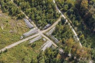 Aerial view, cleared forest areas, Waldemei, Menden, Sauerland, Märkischer Kreis, North