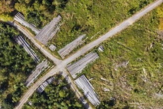 Aerial view, cleared forest areas, Waldemei, Menden, Sauerland, Märkischer Kreis, North
