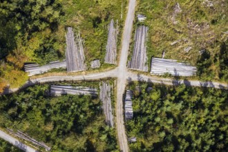 Aerial view, cleared forest areas, Waldemei, Menden, Sauerland, Märkischer Kreis, North