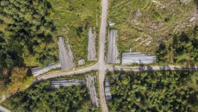 Aerial view, cleared forest areas, Waldemei, Menden, Sauerland, Märkischer Kreis, North