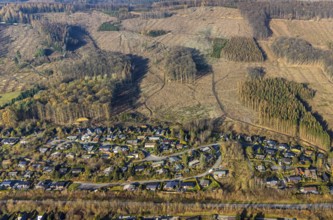 Aerial view, forest damage, deforestation, holiday settlement, holiday homes, view of Frenkhausen,