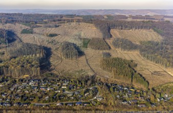 Aerial view, forest damage, deforestation, holiday settlement, holiday homes, view of Frenkhausen,