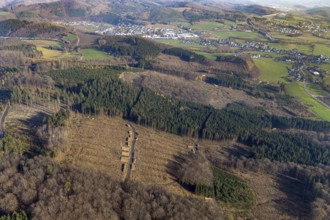 Aerial photo, forest damage, deforestation, Frenkhausen, Meschede, Sauerland, North