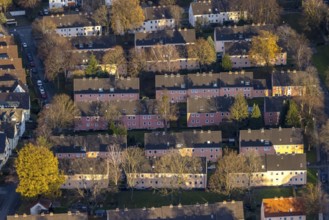 Aerial view, residential area Reichenbacher Weg, terraced houses with pink facade, Soest, Soester