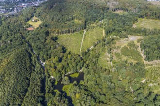 Aerial view, witches pond, cleared forest areas, Menden, Sauerland, Märkischer Kreis, North