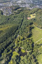 Aerial view, witches pond, cleared forest areas, Menden, Sauerland, Märkischer Kreis, North