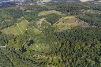 Aerial view, witches pond, cleared forest areas, Menden, Sauerland, Märkischer Kreis, North
