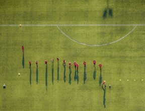 Aerial view, sports facility, SV Lippstadt 08 stadium, Liebelt-Arena, football players training,