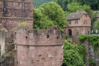 Architectural detail of the Heidelberg castle in southern Germany