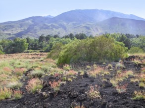 Sunny illuminated natural scenery around Mount Etna in Sicily