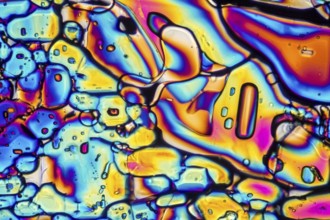 Microscopic shot showing Ammonium sulfate crystals illuminated with polarized light