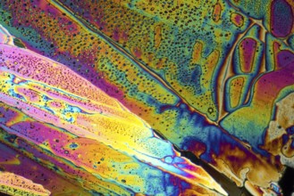 Colorful microscopic shot of Sodium acetate micro crystals in polarized light
