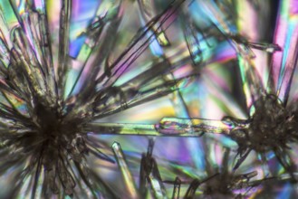 Macro shot of microcrystals from Methylparaben in polarized light