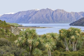 Idyllic scenery around Lake Hawea in New Zealand