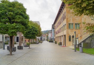 Impression of Vaduz, the capital city of Liechtenstein at autumn time