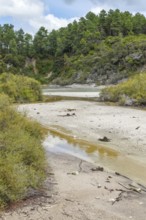 Geothermal area named Waiotapu in New Zealand