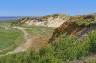 Morsum Kliff at Sylt, part of the North Frisian Islands in Germany