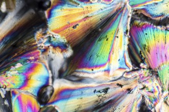 Microscopic shot showing micro crystals of a zinc preparation illuminated with polarized light