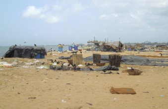 Detail of a fish market at the beach with lots of fishes, remains and birds seen in Sri Lanka