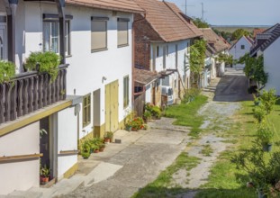 Idyllic town named M?rbisch am See, located at the Lake Neusiedl in the austrian state of