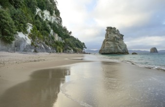 Te Hoho Rock at a coastal area named Cathedral Cove in the southern part of Mercury Bay on the