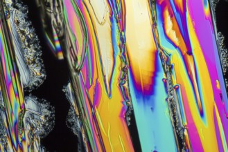 Colorful microscopic shot of Sodium nitrate microcrystals in polarized light