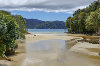 Coastal sunny scenery at the Abel Tasman National Park in New Zealand