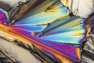Colorful microscopic shot of sugar micro crystals in polarized light