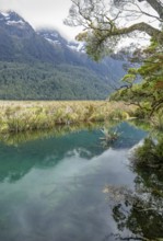 Natural scenery around Mirror Lake in New Zealand