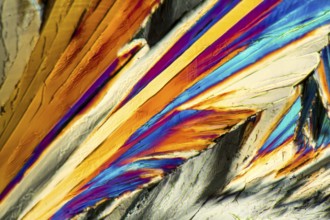 Colorful microscopic shot of Sucrose micro crystals in polarized light