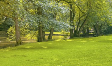 Peaceful sunny park scenery with idyllic small lake at summer time
