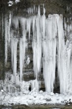 Lots of icicles near river Kocher in Southern Germany