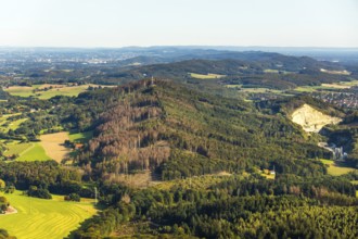 Aerial photograph, Teutoburg Forest, Gartnischberg forest area, forest dieback, Halle, East